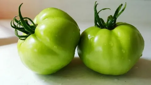 گوجه فرنگی سبز محلی ترش پخت
